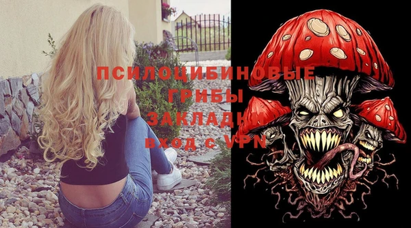 соль ск Алексеевка