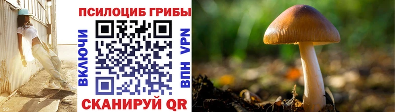 Галлюциногенные грибы Cubensis Щигры